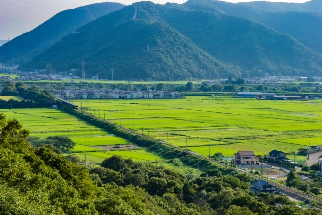 リースバック 田舎 地方