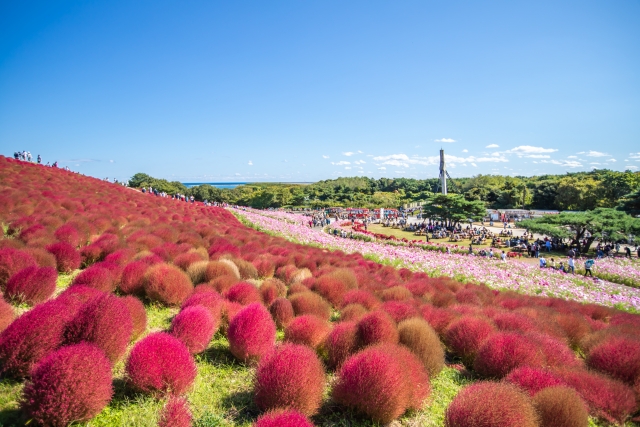 家 売却 茨城 コツ