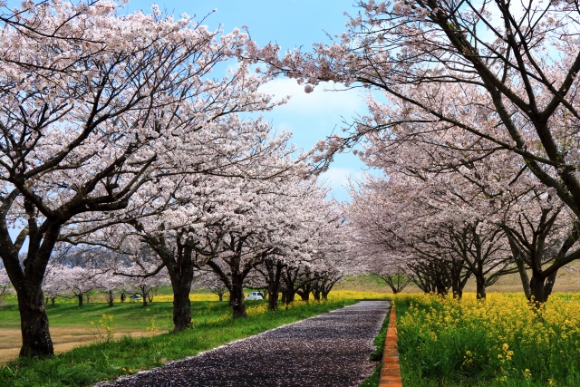 筑西市 土地 査定 相場