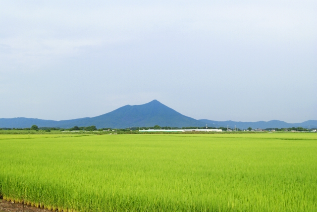 茨城 県 土地 買取 業者 筑波山