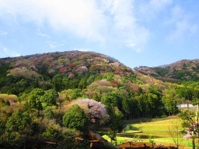 桜川 不動産 売れない 山