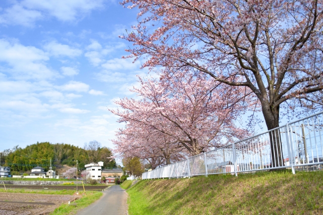家 売却 桜川 特徴